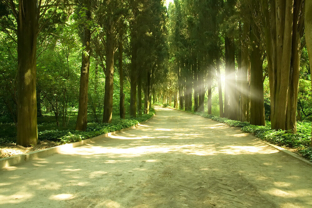 Stille und Licht #652
