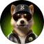 Avatar do utilizador