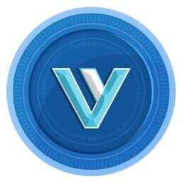 VIN logo