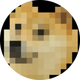 doge logo