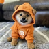 DOG•GO•TO•THE•MOON logo