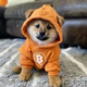 DOG•GO•TO•THE•MOON logo