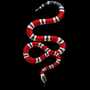 KINGSNAKE logo